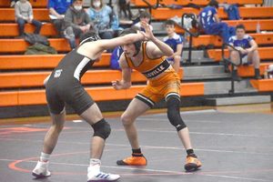 Tigers grappling with success