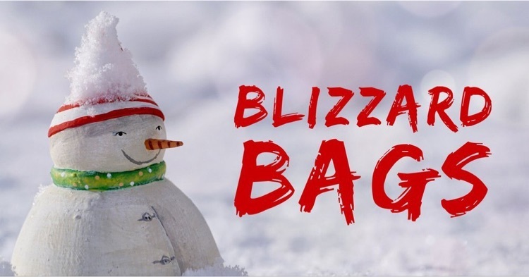 blizzard bags 